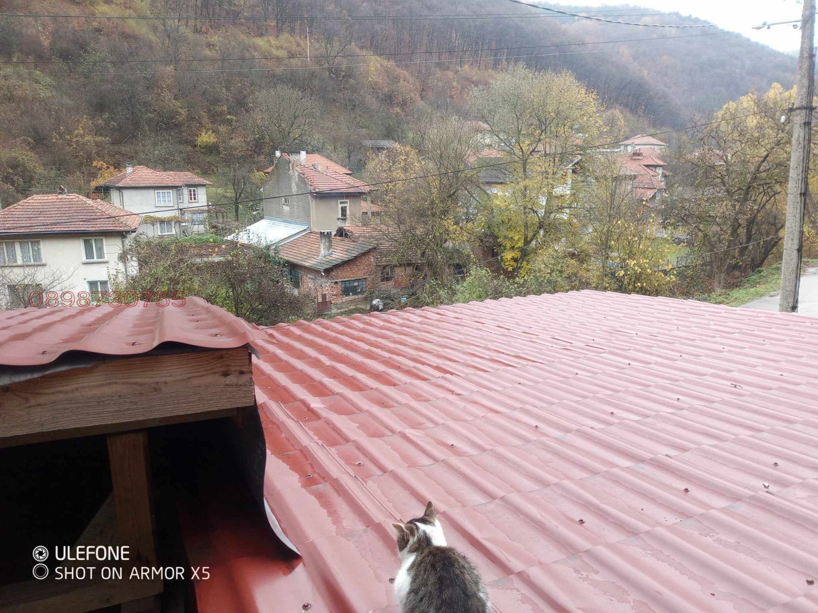 ������� ���� | Imot.bg � ����������� 10