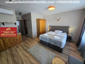 Studio Bansko, région Blagoevgrad 11