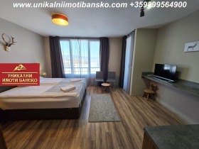 Studio Bansko, region Blagoevgrad 3