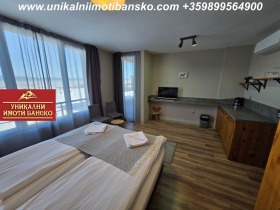 Studio Bansko, region Blagoevgrad 4