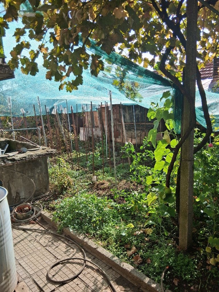 Продава КЪЩА, гр. Ловеч, Гозница, снимка 9 - Къщи - 56747959