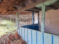 Продава КЪЩА, с. Миндя, област Велико Търново, снимка 10