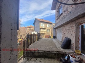 ����� ������� ����,���� ������, ��������