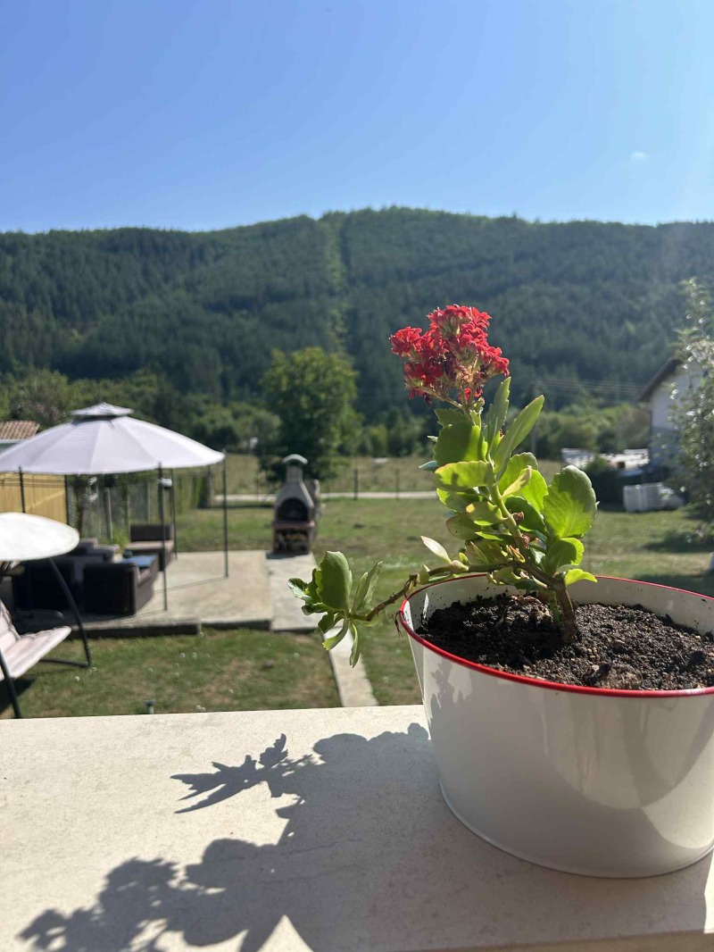 Na prodej  Dům oblast Pernik , Zemen , 140 m2 | 43444790 - obraz [2]