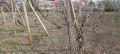 Продава КЪЩА, област Шумен, с. Върбак • 64000 лв. • 38561880 — Holmes.bg