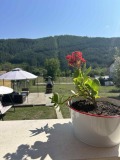 Продава КЪЩА, област Перник, гр. Земен • 169000 € • 13286530 — Holmes.bg