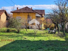 ����� ������� ����,��. ������, ������ �����