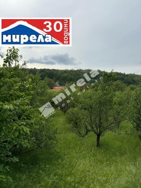 Plott Natsovtsi, region Veliko Tarnovo