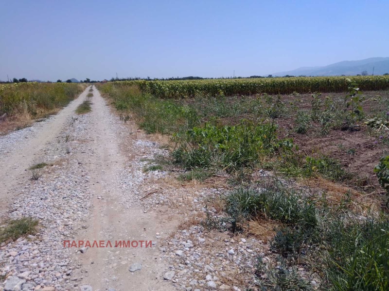 Προς πώληση  Οικόπεδο περιοχή Plovdiv , Ορηζαρη , 700 τ.μ | 75562778