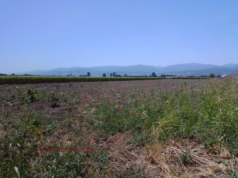 Προς πώληση  Οικόπεδο περιοχή Plovdiv , Ορηζαρη , 700 τ.μ | 75562778 - εικόνα [4]