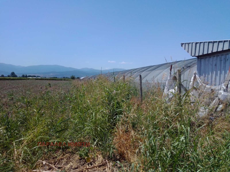 Προς πώληση  Οικόπεδο περιοχή Plovdiv , Ορηζαρη , 700 τ.μ | 75562778 - εικόνα [3]