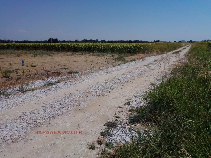 Προς πώληση  Οικόπεδο περιοχή Plovdiv , Ορηζαρη , 700 τ.μ | 75562778 - εικόνα [5]