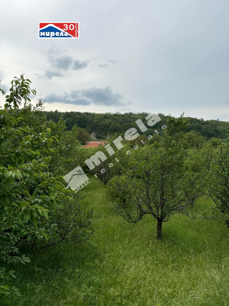 Eladó  Cselekmény régió Veliko Tarnovo , Nacovci , 1380 négyzetméter | 57423736