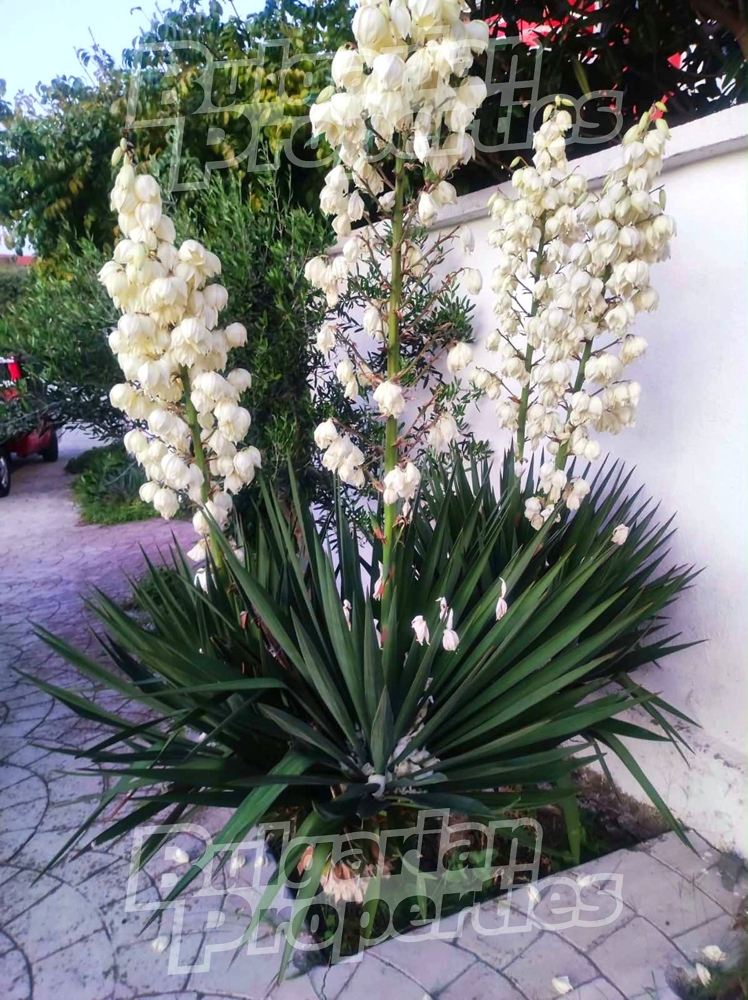 Продава КЪЩА, гр. Царево, област Бургас, снимка 11 - Къщи - 56681701