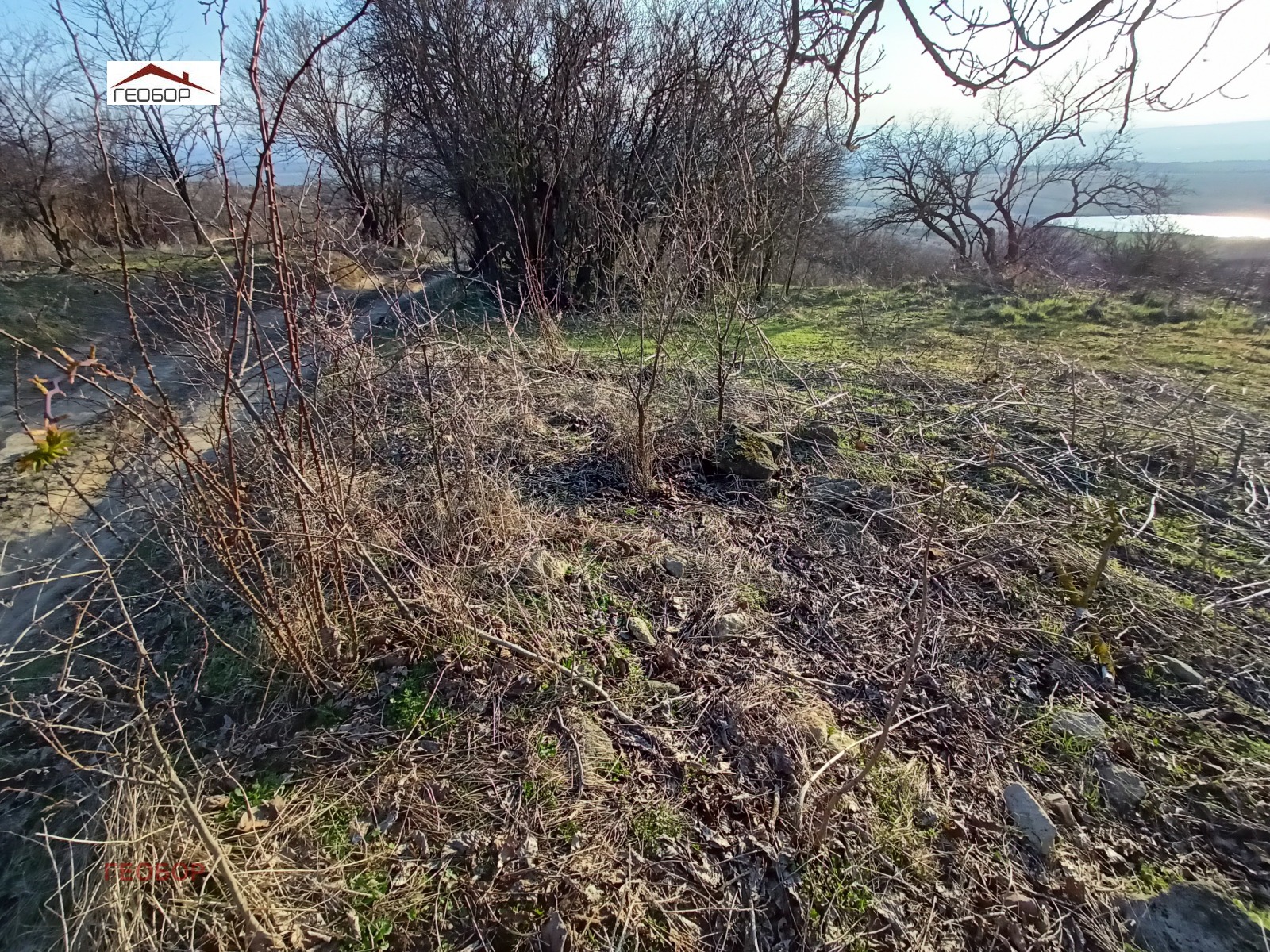 ������� ������ | Imot.bg � ����������� 5