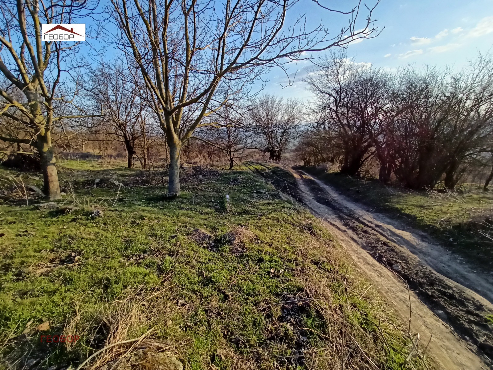 ������� ������ | Imot.bg � ����������� 3