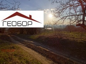 ������ ������� ������