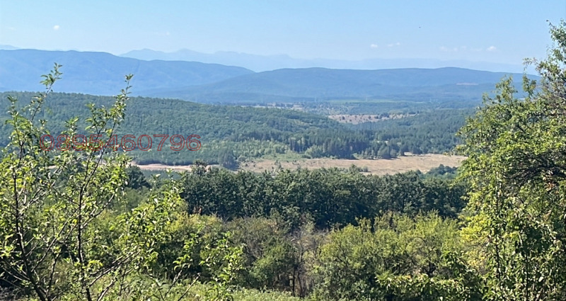 Продава КЪЩА, с. Ръжана, област София област, снимка 3 - Къщи - 53350198