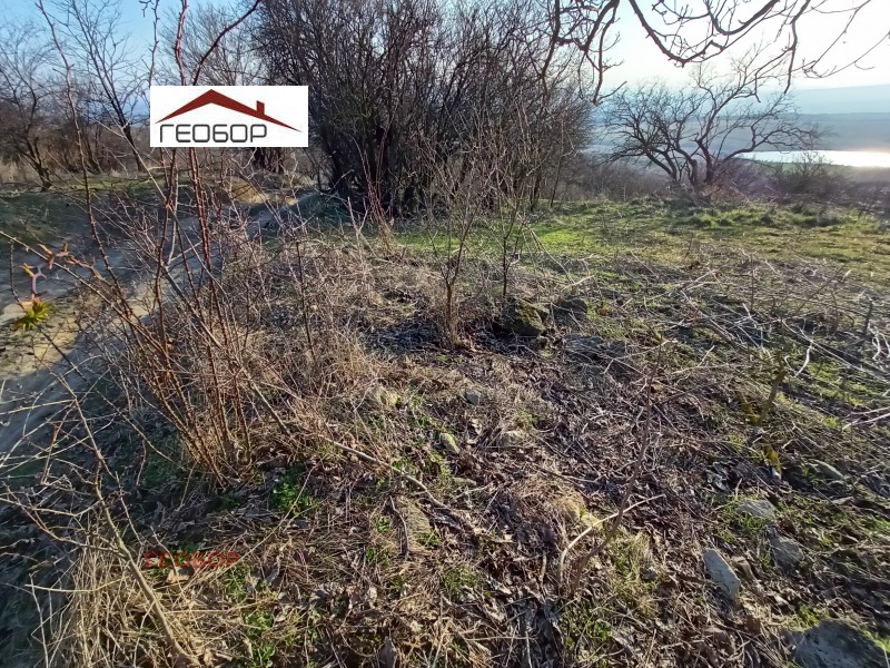 Продава ПАРЦЕЛ, с. Аврен, област Варна, снимка 5 - Парцели - 53207351