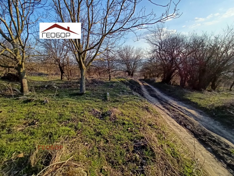 Продава ПАРЦЕЛ, с. Аврен, област Варна, снимка 3 - Парцели - 53207351