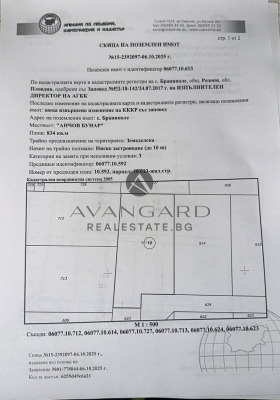 ������ ������� ������