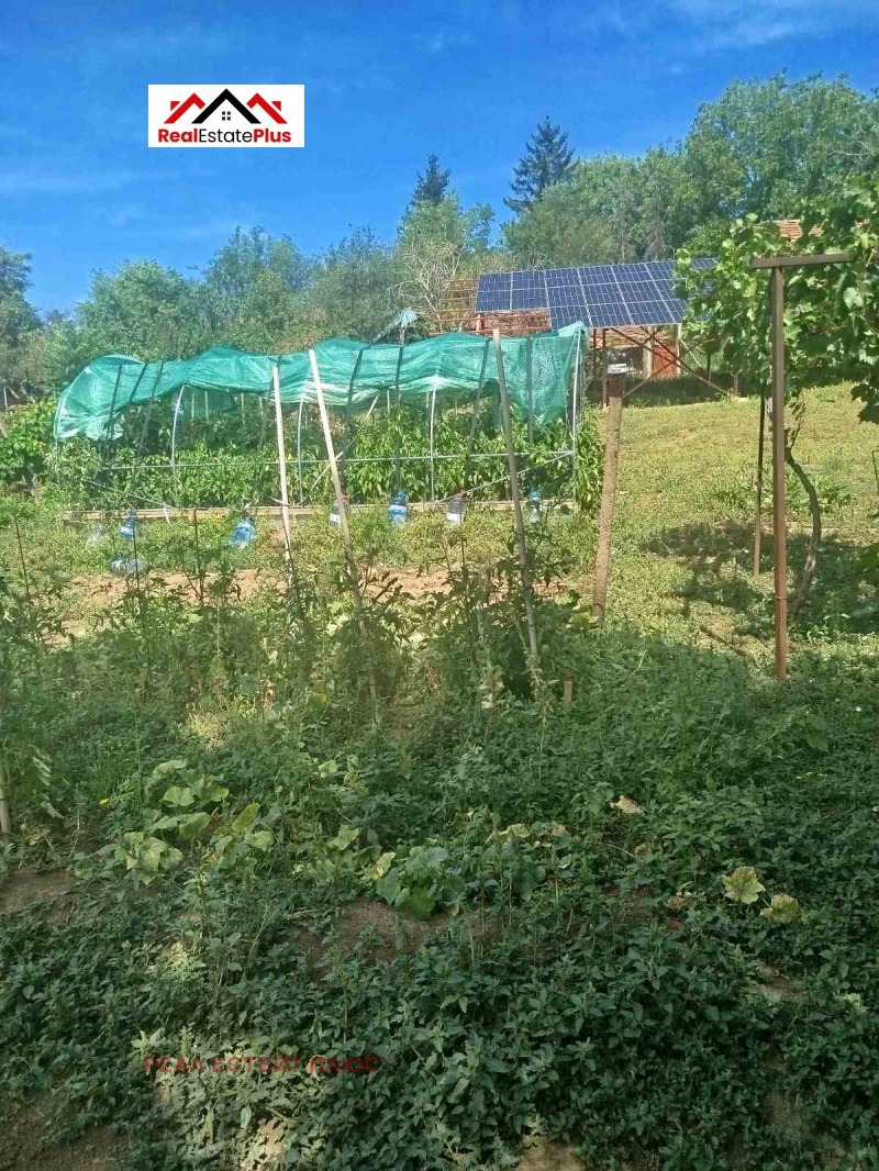 Till salu  Hus region Pleven , Grivica , 144 kvm | 24830404 - bild [16]