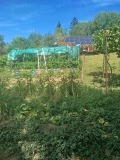 Продава КЪЩА, област Плевен, с. Гривица • 250000 € • 83196754 — Holmes.bg