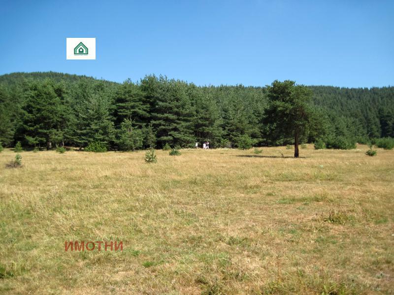 ������� ���������� ���� | Imot.bg � ����������� 4