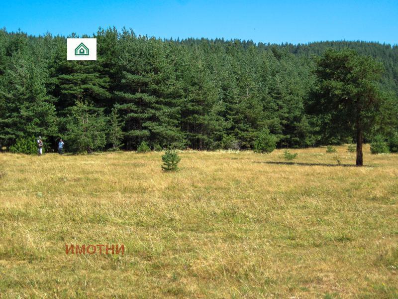 ������� ���������� ���� | Imot.bg � ����������� 3