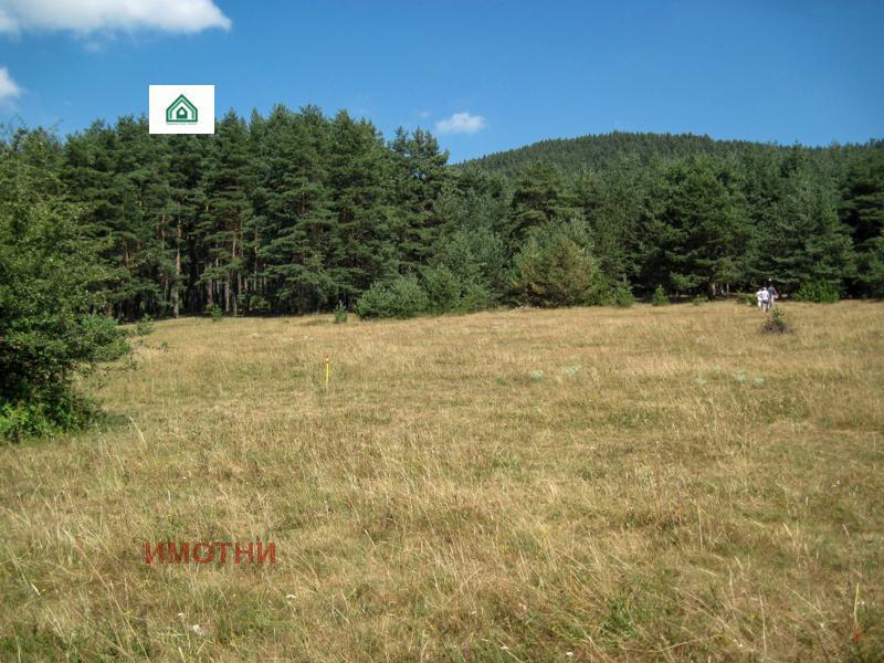 ������� ���������� ���� | Imot.bg � ����������� 2