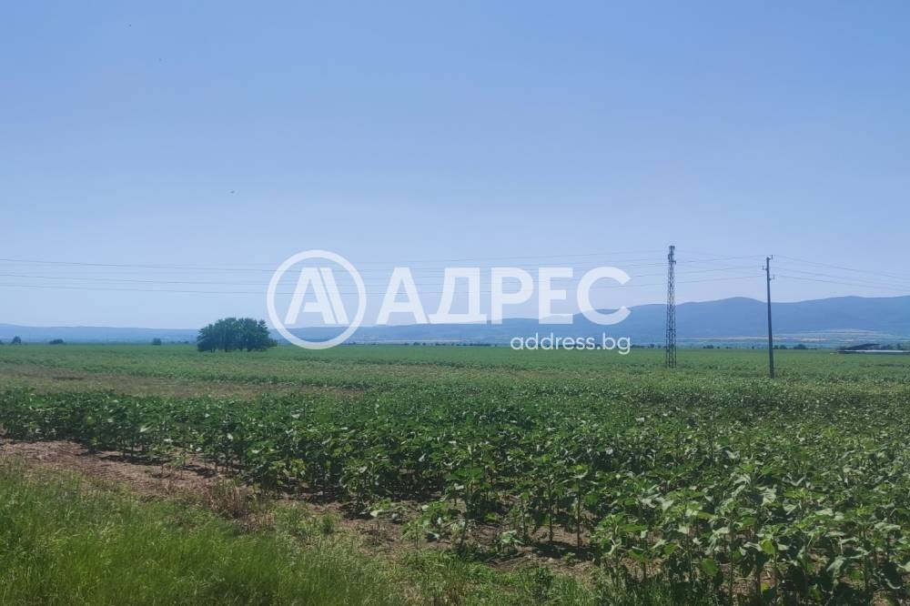 Продава ПАРЦЕЛ, с. Равно поле, област София област, снимка 2 - Парцели - 49919458
