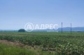 Продава ПАРЦЕЛ, област София, с. Равно поле • 165000 € • 19222674 — Holmes.bg