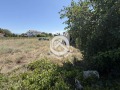Продава  Парцел област Пловдив , с. Бенковски , 517 кв.м | 66723442 - изображение [8]