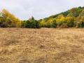 Продава ПАРЦЕЛ, област Перник, с. Горна Диканя • 40040 € • 83744837 3