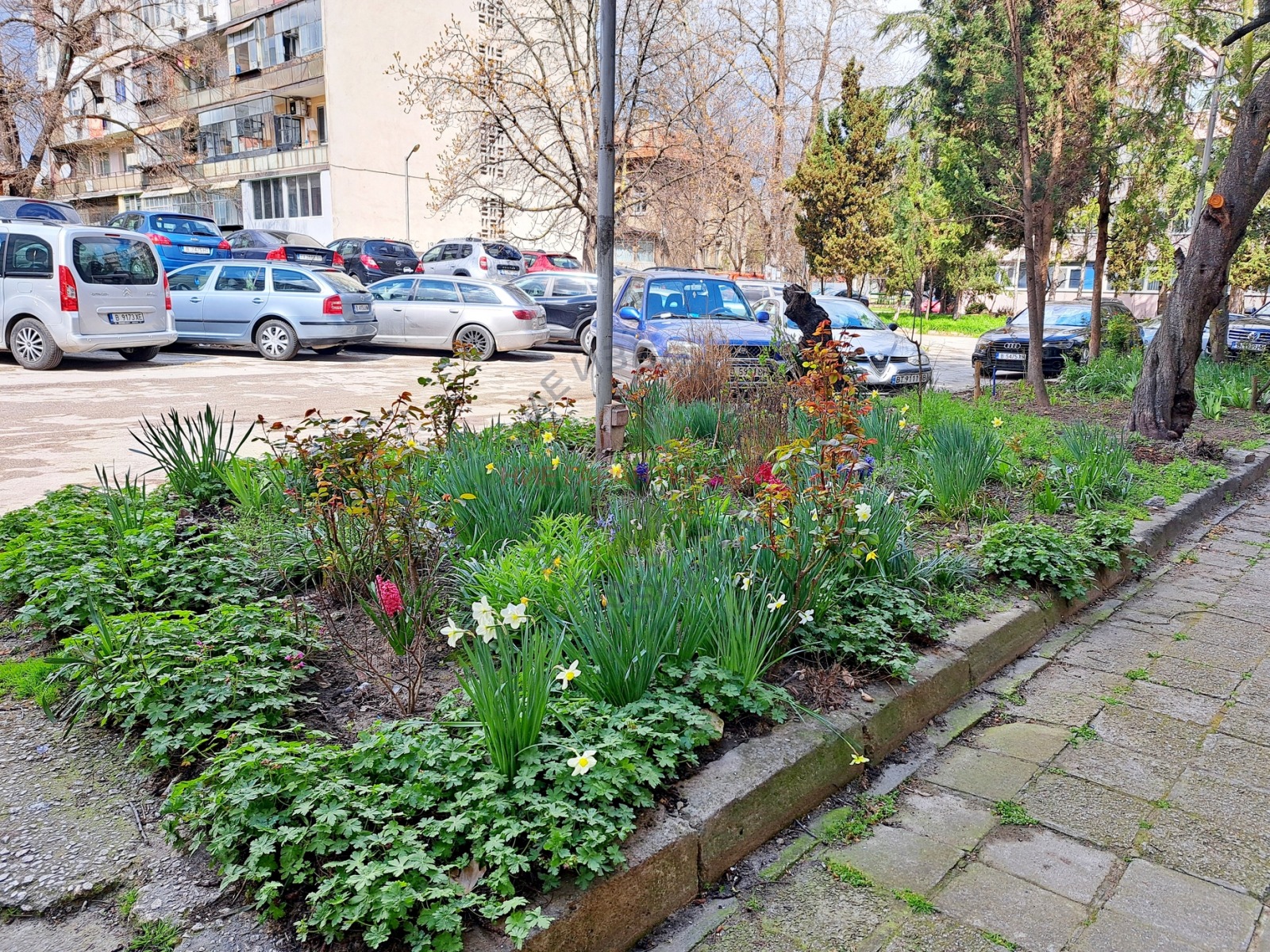 ������� 3-����� | Imot.bg � ����������� 1