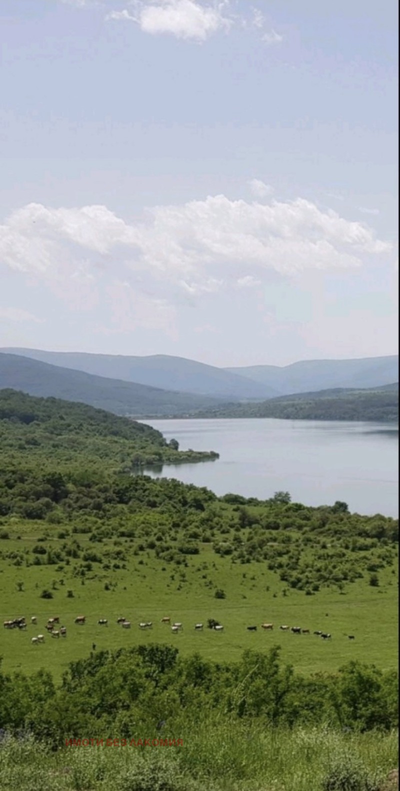 Продаја  Плот регион Перник , јаз. Пчелина , 1600 м2 | 63880749 - слика [3]