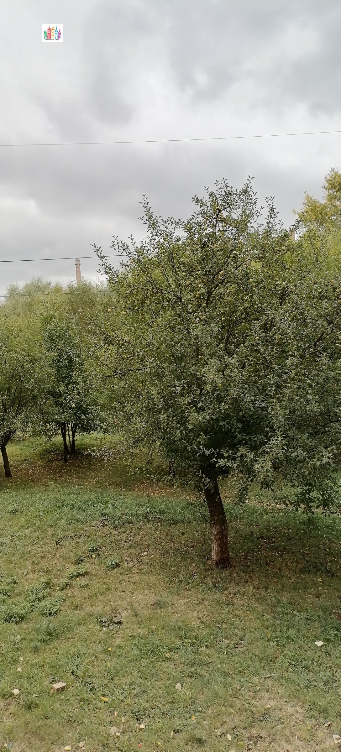 ������� 3-����� | Imot.bg � ����������� 11