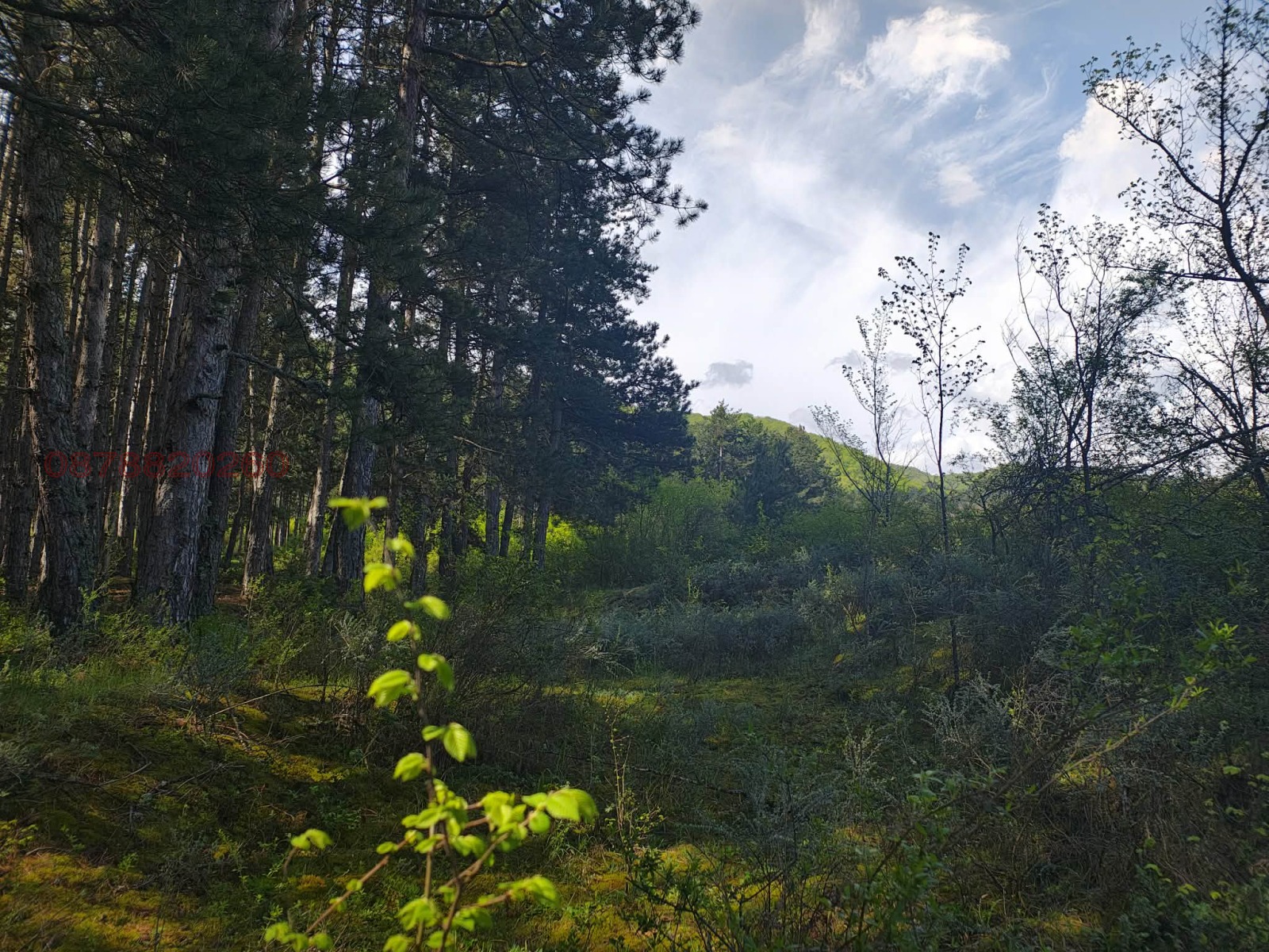 ������� ���������� ���� | Imot.bg � ����������� 8