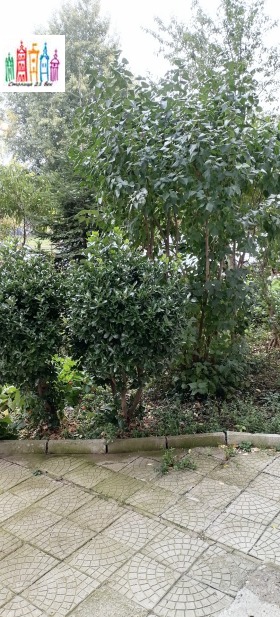 ������� 3-����� | Imot.bg � ����� ������ 12