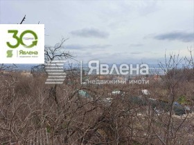 ����� ������� ����,�. ���������, ������ �����