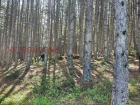 ������� ���������� ���� | Imot.bg � ����� ������ 9