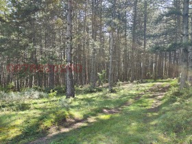 ������� ���������� ���� | Imot.bg � ����� ������ 6