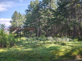 ������� ���������� ���� | Imot.bg � ����� ������ 5