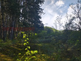 ������� ���������� ���� | Imot.bg � ����� ������ 8