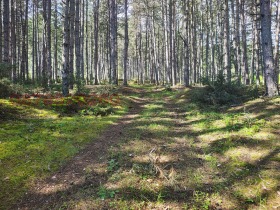 ������� ���������� ���� | Imot.bg � ����� ������ 7