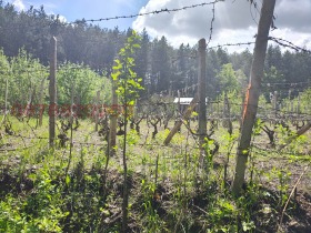 ������� ���������� ���� | Imot.bg � ����� ������ 4