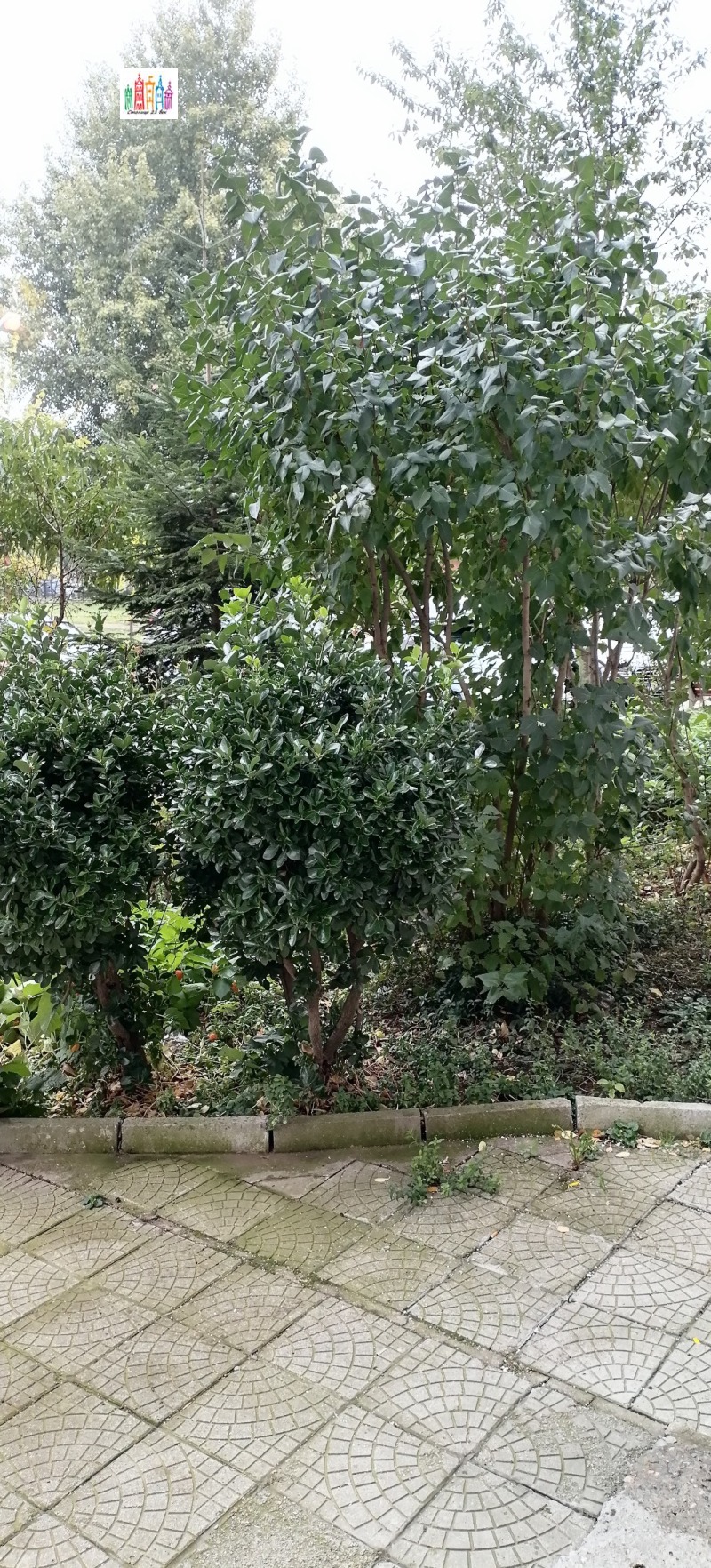 Продава 3-СТАЕН, гр. Перник, Изток, снимка 11 - Апартаменти - 53054156