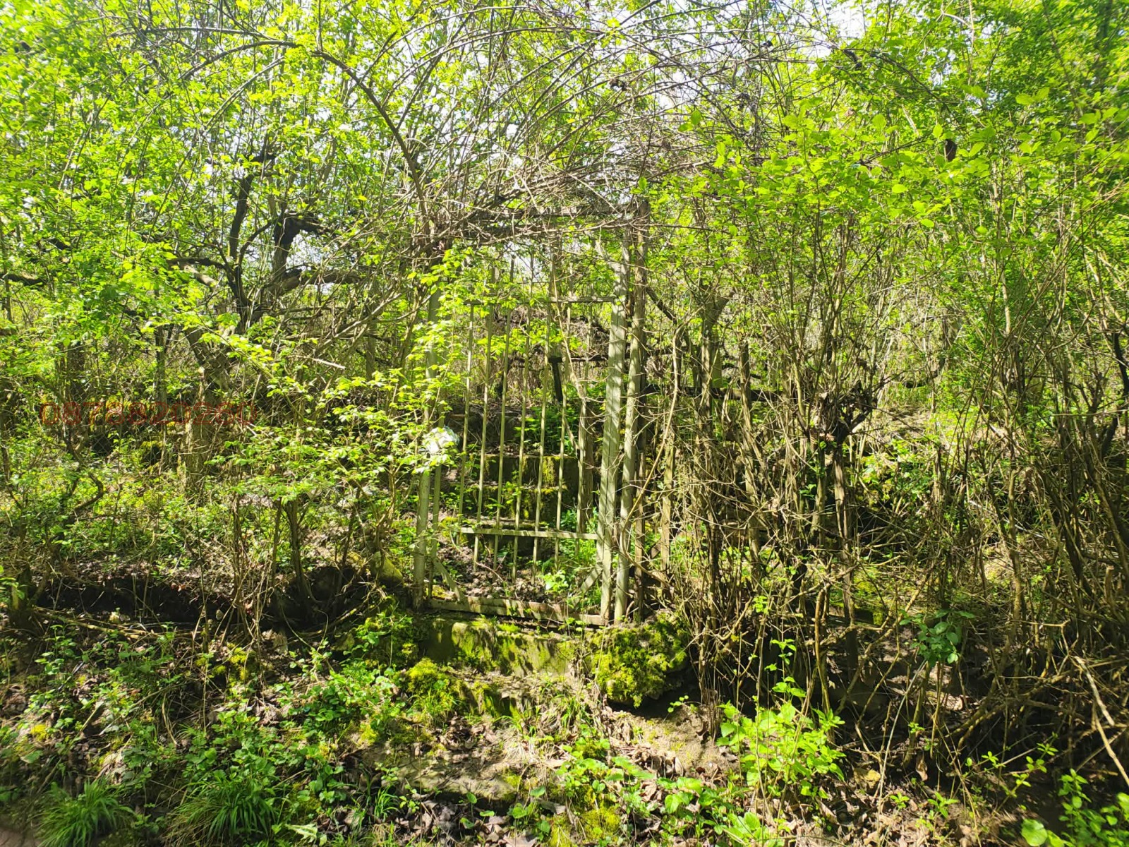 Продава ЗЕМЕДЕЛСКА ЗЕМЯ, гр. Гоце Делчев, област Благоевград, снимка 2 - Земеделска земя - 54108609