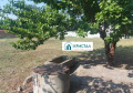 Продава КЪЩА, с. Градина, област Пловдив, снимка 2