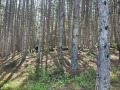 Продава  Земеделска земя област Благоевград , гр. Гоце Делчев , 17 дка | 83259106 - изображение [9]